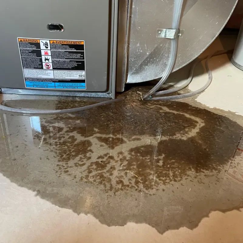 Appliance Leak Cleanup in Aiea, HI