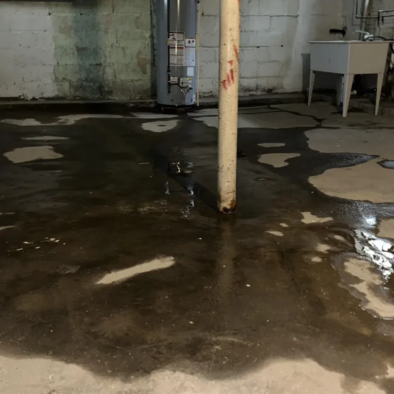 Emergency Water Extraction And Removal in Aiea, HI